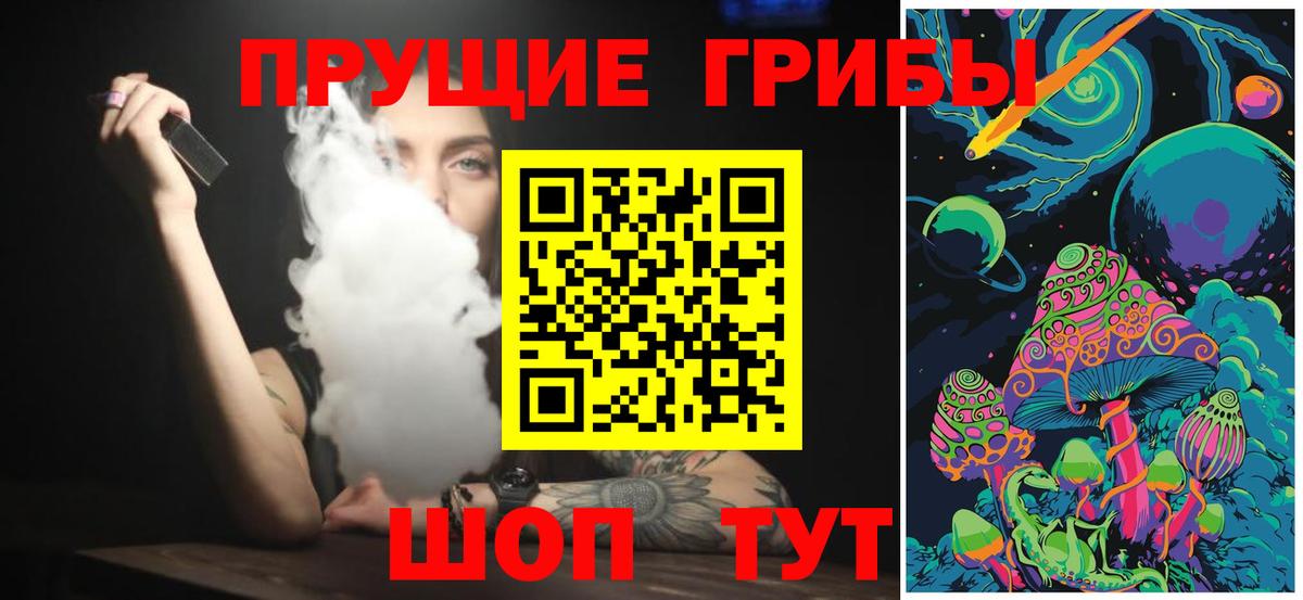 Бердск  купить   Вход с VPN  Галлюциногенные грибы GOLDEN TEACHER 